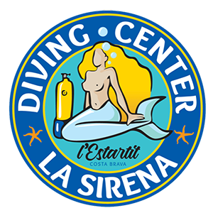 lasirena colaborador odicean